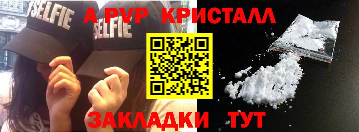 Альфа ПВП СК Светлоград