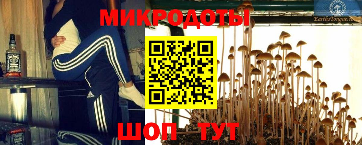 Псилоцибиновые грибы прущие грибы Светлоград